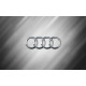 Audi meta h1